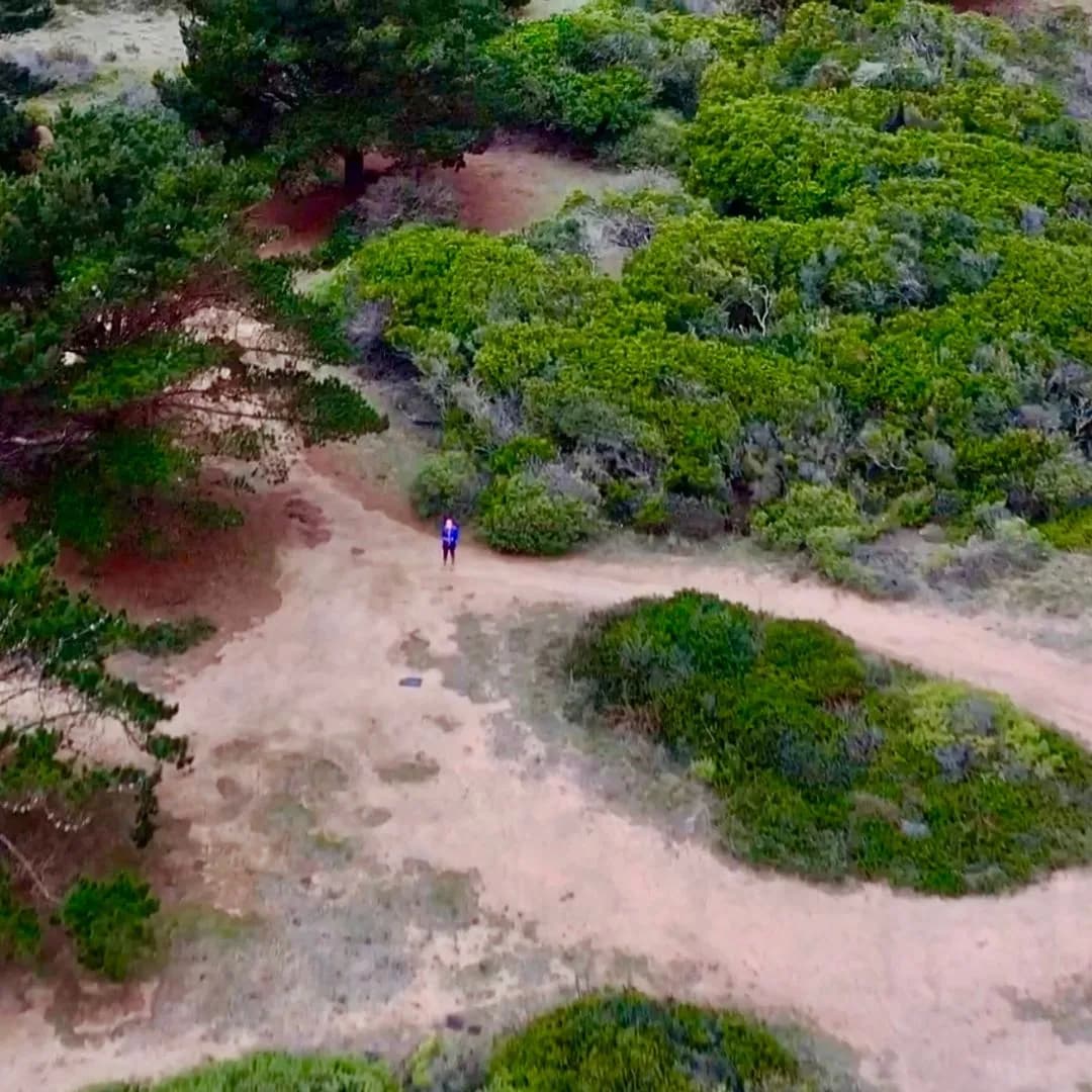 Imagen de variante 2