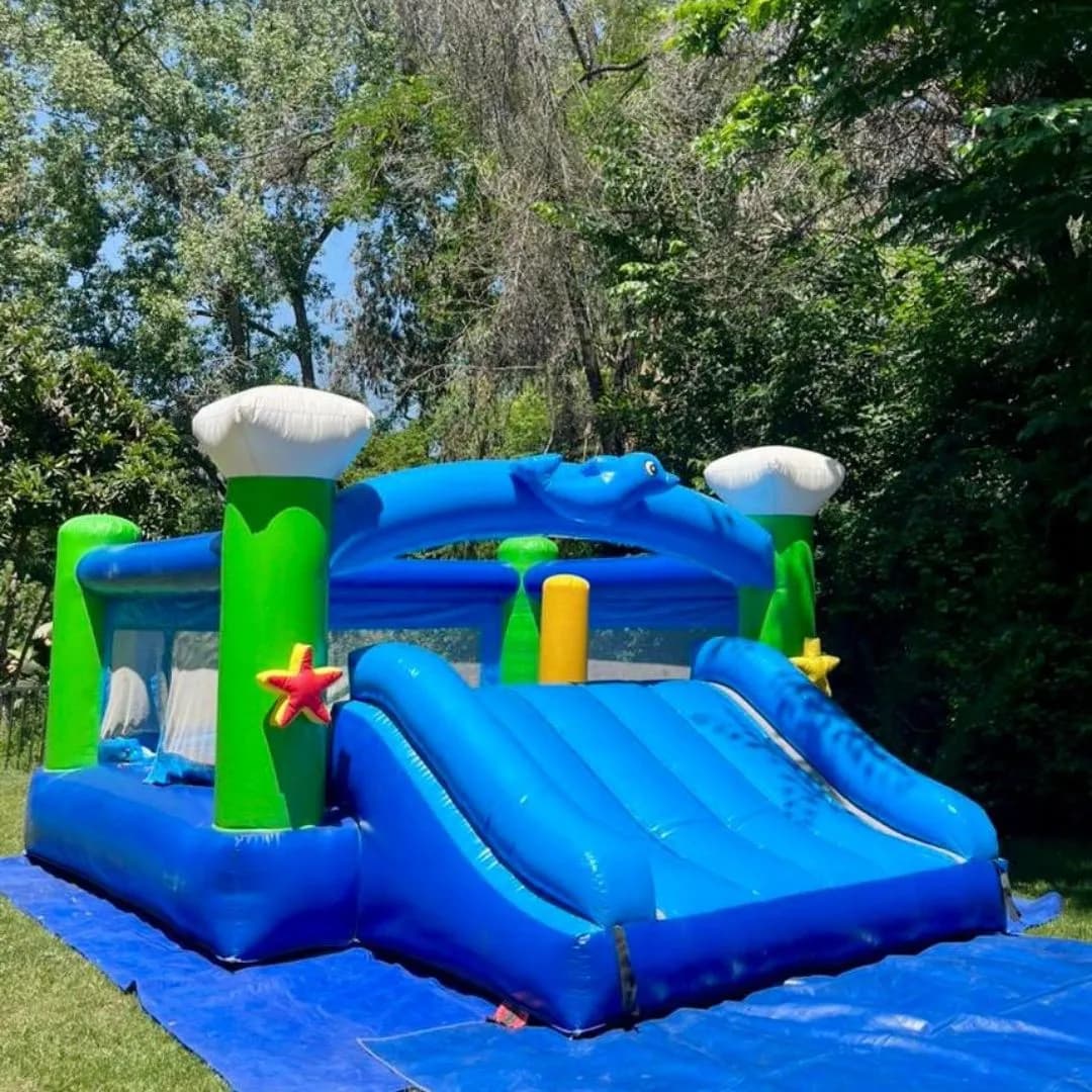 Imagen de variante 3