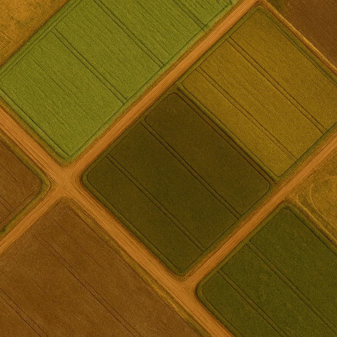 Imagen de variante 2