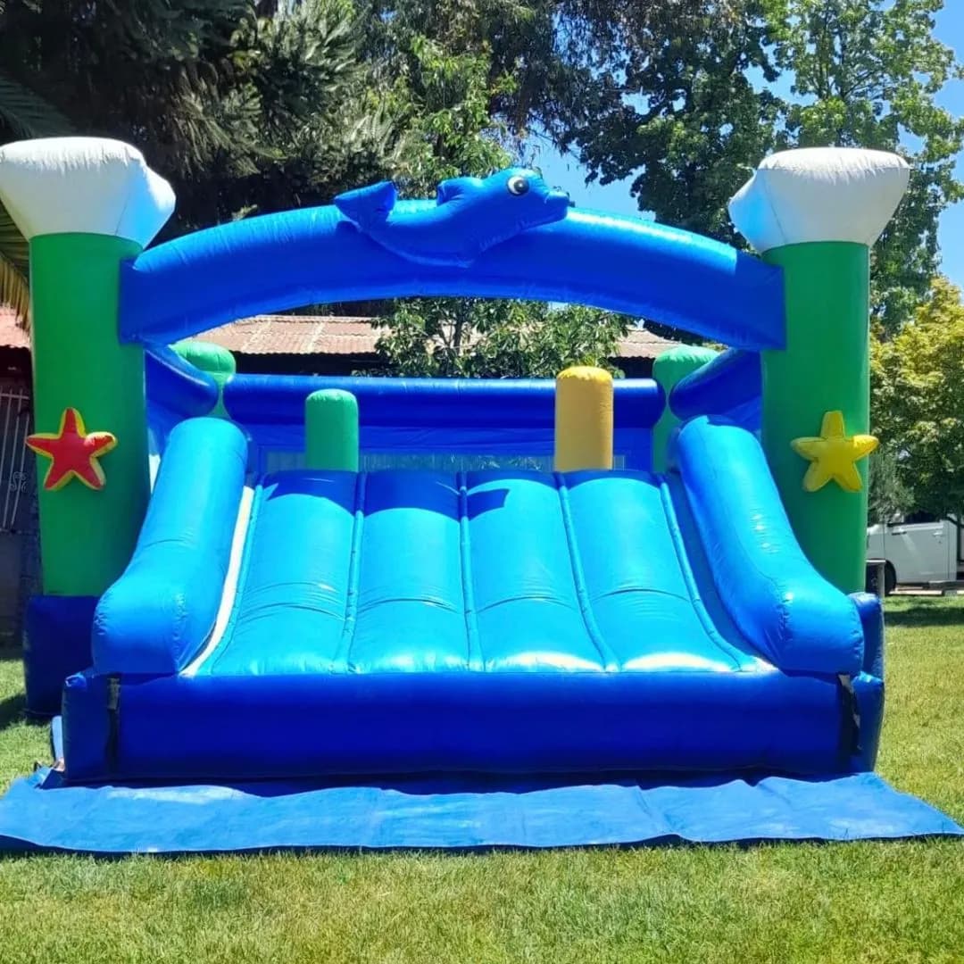 Imagen de variante 4