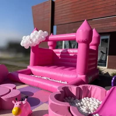 Castillo Rosa Soñado